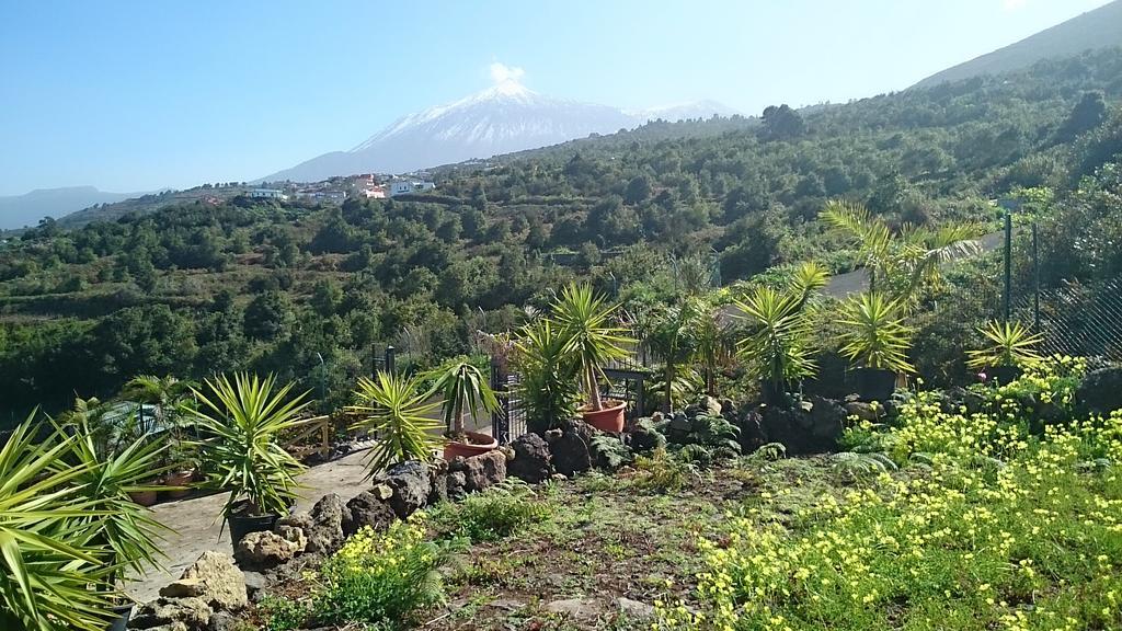 Ecolodge Tenerife Genovés 객실 사진