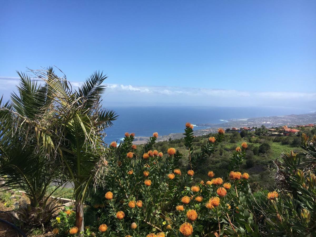 Ecolodge Tenerife Genovés 외부 사진